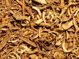 Ibogaine Roots